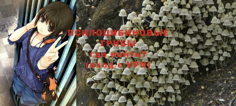 закладка  Азнакаево  мега ССЫЛКА  Псилоцибиновые грибы Cubensis 